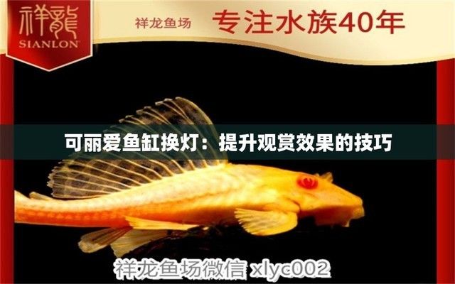 可麗愛魚缸燈維修圖解（可麗愛魚缸燈維修圖解可麗愛魚缸燈維修圖解） 魚缸百科 第1張