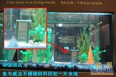 魚缸品質(zhì)的 代言（樂游水族箱和成都智拓水族品質(zhì)的代言）