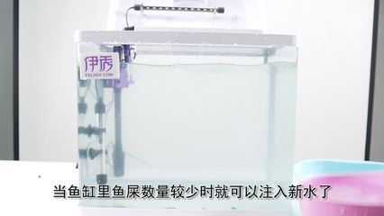 新開魚缸多久換水（新開魚缸的換水時(shí)機(jī)需要仔細(xì)考慮） 魚缸百科 第5張