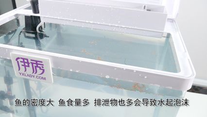 魚缸水很多泡沫怎么回事（魚缸水很多泡沫怎么辦） 魚缸百科 第3張