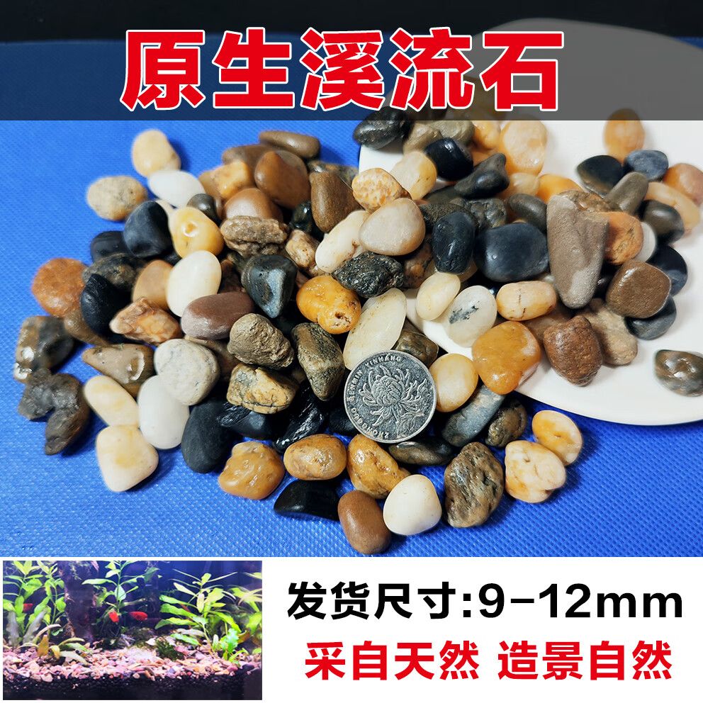 鵝卵石魚缸造景圖片擺法（鵝卵石魚缸造景圖片擺法技巧鵝卵石魚缸造景圖片擺法） 魚缸百科 第5張