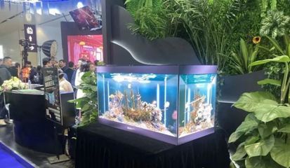 魚缸品牌十大排名榜最新（魚缸品牌十大排名最新魚缸品牌十大排名榜最新） 魚缸百科 第5張