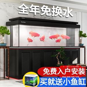 森森1500fd魚缸底濾安裝（安裝森森1500fd魚缸底濾是一項(xiàng)重要任務(wù)）