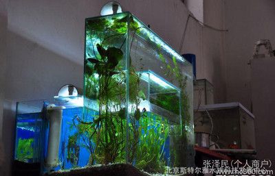 超高負(fù)壓魚缸圖片（關(guān)于超高負(fù)壓魚缸圖片的查詢） 魚缸百科 第3張