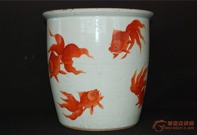 陶瓷魚(yú)缸圖片大全圖（陶瓷魚(yú)缸圖片大全）