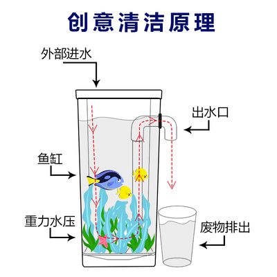 魚(yú)缸多久換水的正確方法（魚(yú)缸多久換一次水） 魚(yú)缸百科 第1張