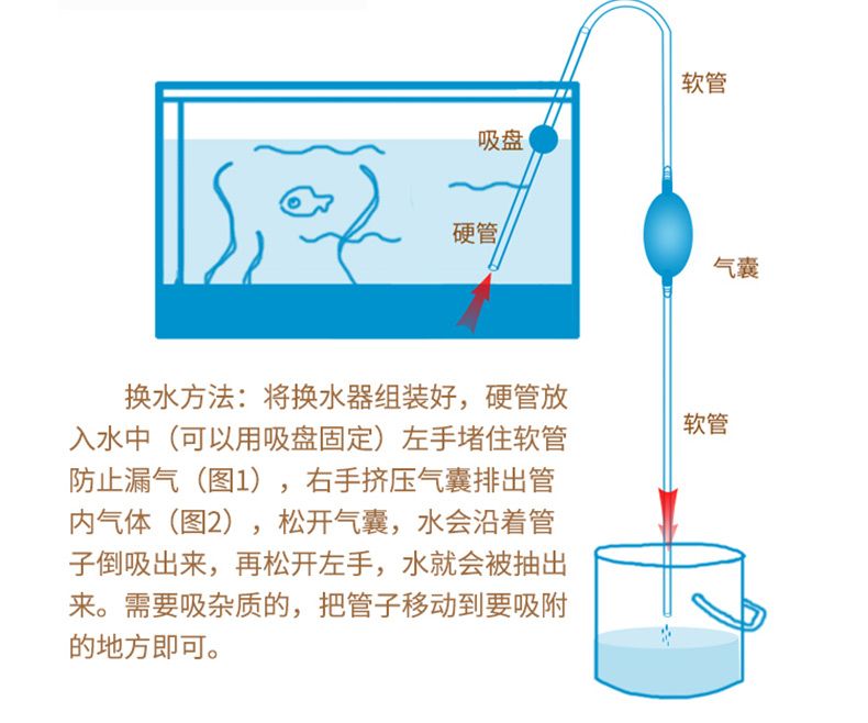 魚(yú)缸多久換水的正確方法（魚(yú)缸多久換一次水） 魚(yú)缸百科 第5張