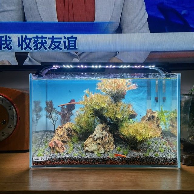 森森魚缸多少錢一個(gè)（森森魚缸多少錢一個(gè)一個(gè)森森魚缸多少錢一個(gè)）