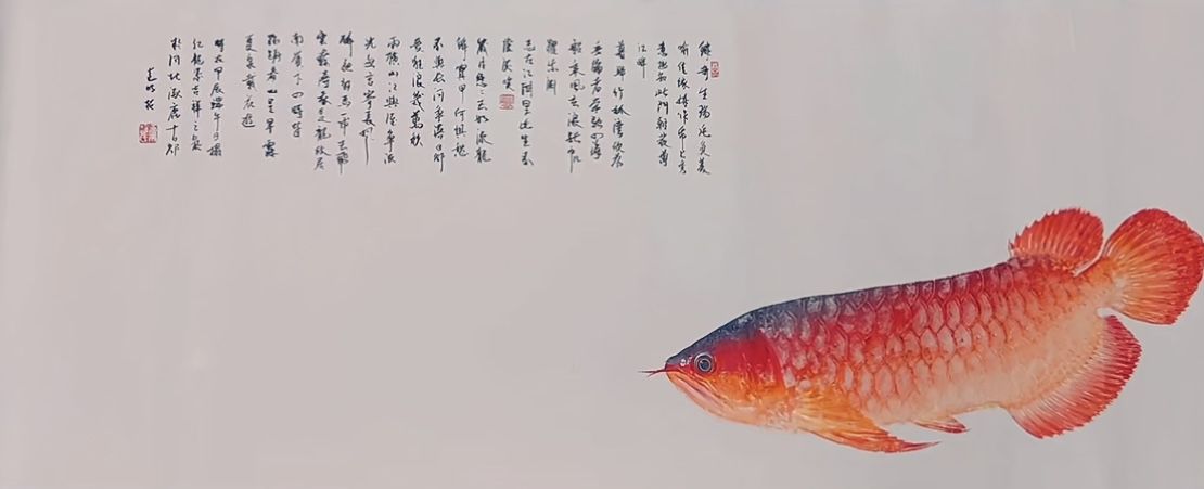 龍魚水墨畫（死去的龍魚經(jīng)過專業(yè)師傅打磨制作成畫） 觀賞魚論壇