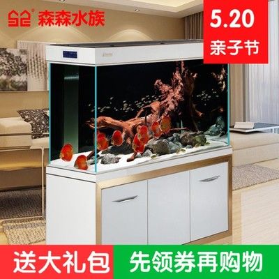 龍魚魚缸圖片大全（龍魚魚缸圖片大全展示，龍魚魚缸圖片大全）