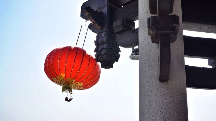 金龍魚原產(chǎn)地生態(tài)環(huán)境（-金龍魚的生態(tài)環(huán)境是怎樣的，金龍魚的生態(tài)環(huán)境是怎樣的） 水族問答