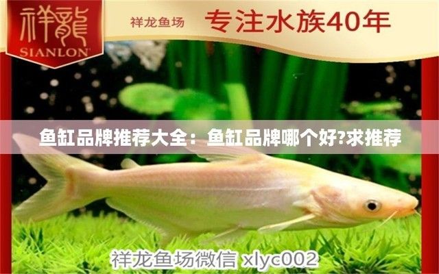 最好的品牌魚缸有哪些