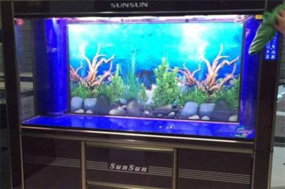 森森魚缸售后服務電話寧波店（寧波魚缸維修服務推薦）