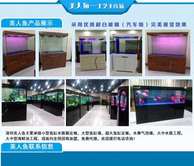 克山縣小徐花店（克山小徐花店） 水族周邊