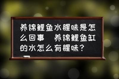 魚(yú)缸的水兩天就有味怎么處理（魚(yú)缸異味如何快速消除？） 龍魚(yú)百科 第6張