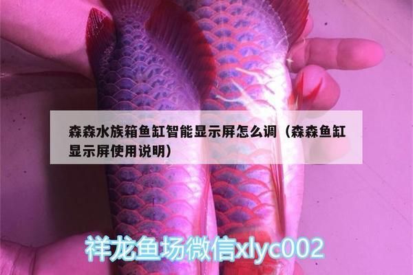 森森魚缸顯示屏設(shè)置視頻（森森魚缸顯示屏故障排查） 龍魚百科 第4張