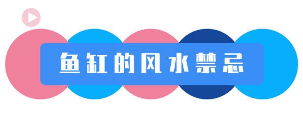 農村魚缸放在什么位置好（農村客廳布局風水指南魚缸與爐灶相沖的解決辦法） 龍魚百科 第6張