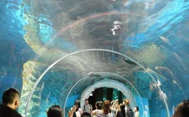 香港水族館（海洋公園海洋館門票預(yù)訂）