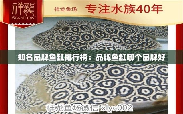 全國十大品牌魚缸（2024年全國十大品牌魚缸）