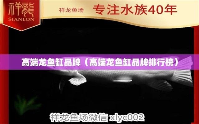 高端金龍魚魚缸品牌排行榜（金龍魚魚缸品牌性價(jià)比對比高端金龍魚魚缸品牌性價(jià)比對比） 龍魚百科 第4張