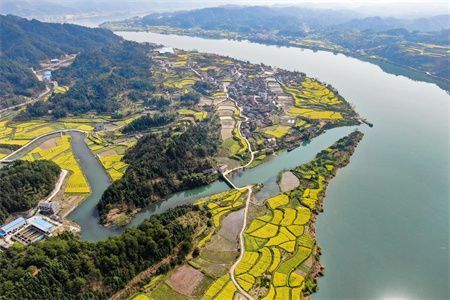 魚缸的壞處（魚缸安全防護方法介紹魚缸爆裂應急處理方法介紹） 龍魚百科 第1張