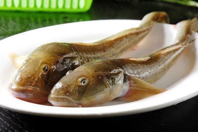 關(guān)刀魚可以和龍魚一起養(yǎng)嗎（關(guān)刀魚和龍魚是否能夠一起養(yǎng)，取決于多種因素）