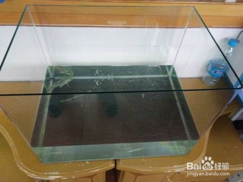 魚缸過濾器怎么安裝視頻教程（如何安裝魚缸過濾器） 龍魚百科 第5張