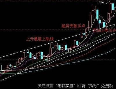 股市金龍魚歷史最高價是多少（金龍魚歷史最高股價出現(xiàn)在2021年1月11日） 龍魚百科 第3張