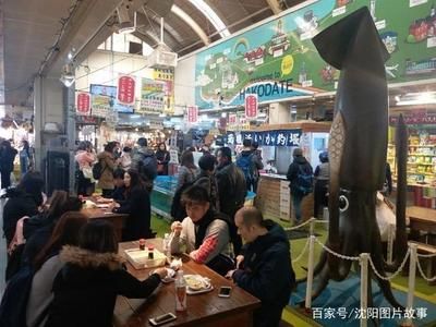 沈陽水族批發(fā)市場（沈陽水族市場特色魚類） 龍魚百科 第5張