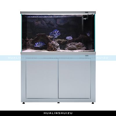 饒平縣沐藍水族館（饒平縣沐藍水族館經(jīng)營產(chǎn)品：一般項目不含動物診療） 全國觀賞魚市場