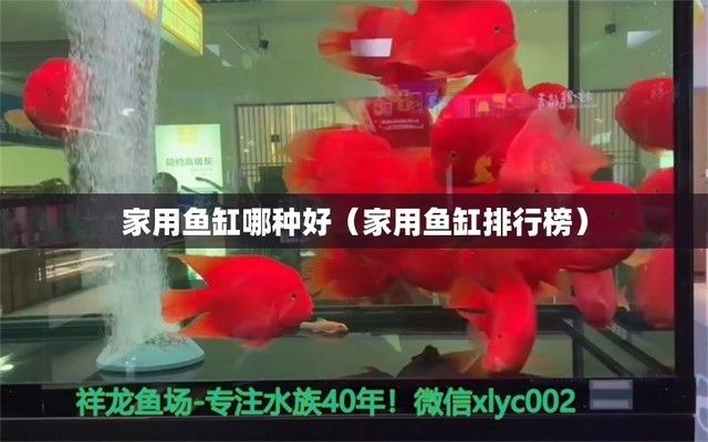 質(zhì)量好的魚缸排名榜（魚缸品牌口碑對比） 龍魚百科 第3張