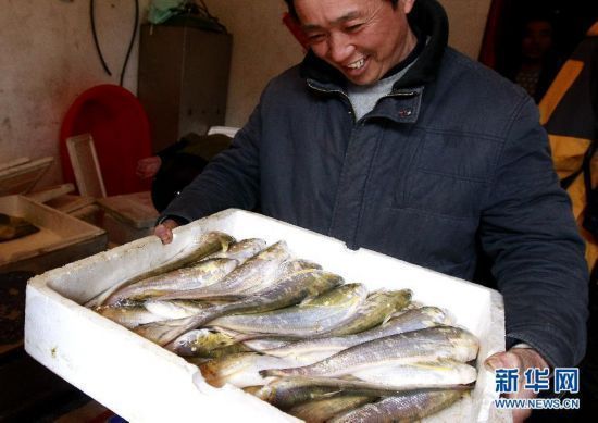 彩蝶魚(yú)缸廠家銷(xiāo)售電話查詢號(hào)碼（如何辨別魚(yú)缸質(zhì)量?jī)?yōu)劣） 龍魚(yú)百科 第1張