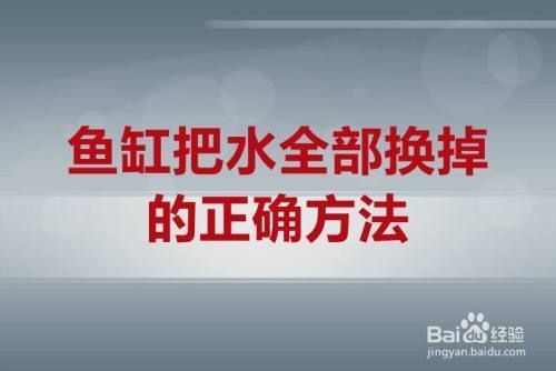 魚缸全部換水怎么處理（魚缸換水后如何養(yǎng)水） 龍魚百科 第4張