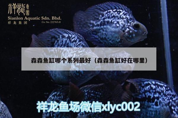 森森魚缸排名第幾（森森魚缸與其他品牌的比較） 龍魚百科 第3張