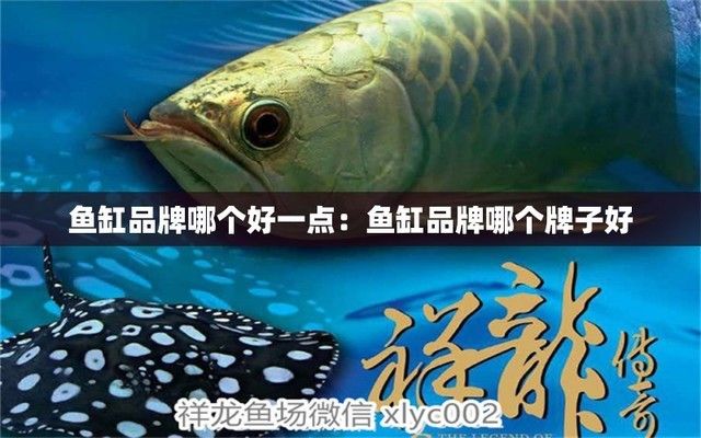 魚缸哪個品牌的好（魚缸品牌性價比排行） 龍魚百科 第4張