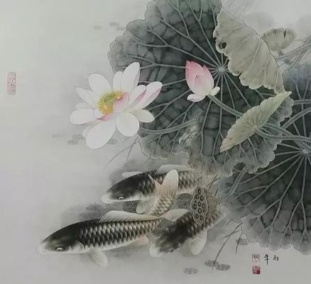 工筆龍魚(yú)畫(huà)法（工筆龍魚(yú)眼睛畫(huà)法,龍魚(yú)身體結(jié)構(gòu)解析）