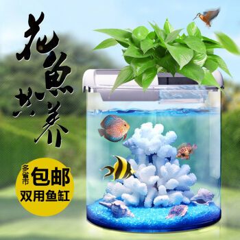 金龍魚品牌市場定位（金龍魚品牌在市場上的定位是什么？） 水族問答