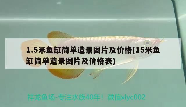 15米魚缸多少錢一個（15米魚缸品牌推薦） 龍魚百科 第4張