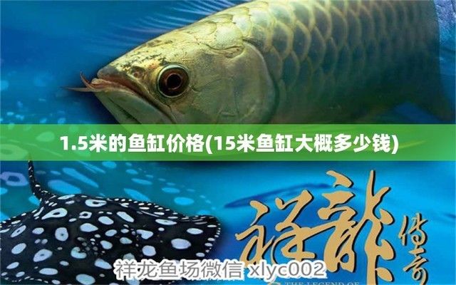 15米魚缸多少錢一個（15米魚缸品牌推薦） 龍魚百科 第5張