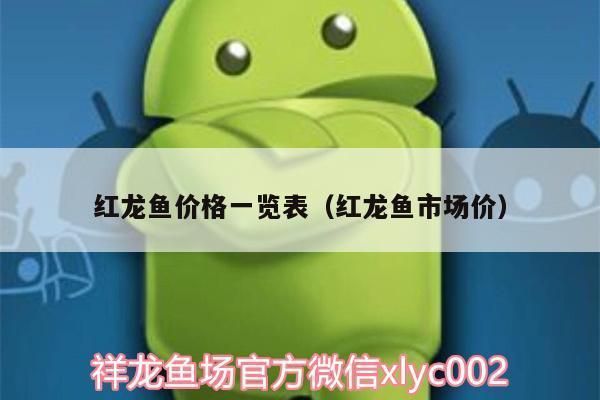 紅龍魚價格表大全（紅龍魚價格因品種、顏色、飼養(yǎng)成本等因素而有所不同） 龍魚百科 第1張