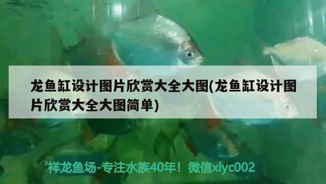 龍魚缸設(shè)計圖紙圖片（如何選擇龍魚缸背景顏色） 龍魚百科 第2張