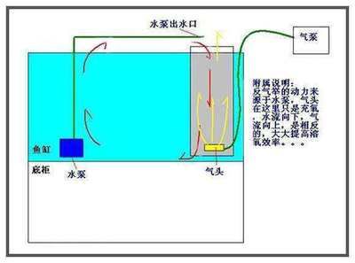 金龍魚客服中心營業(yè)時間（金龍魚客服中心在周末是否提供在線咨詢服務？） 水族問答