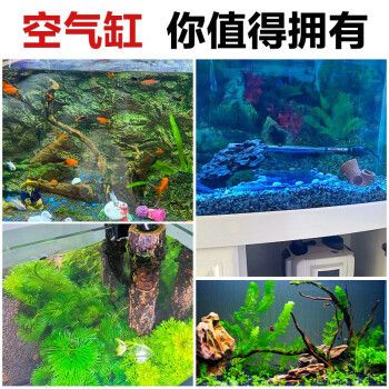 西安曲江新區(qū)樂魚悠水族館（曲江新區(qū)樂魚悠水族館） 全國觀賞魚市場