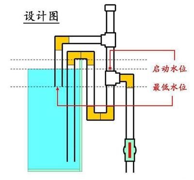 金龍魚膠燉湯的具體步驟（金龍魚膠在燉湯時(shí)可以與其他食材一起烹飪嗎？） 水族問(wèn)答