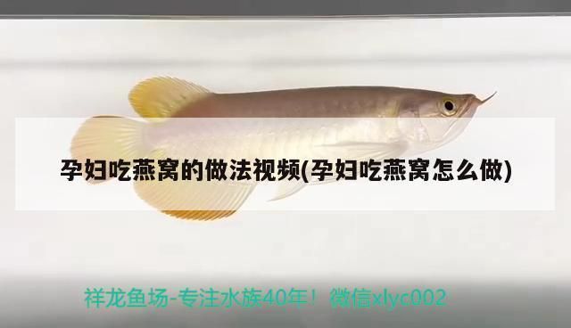 森森魚缸數(shù)字顯示屏怎么安裝圖解（森森魚缸數(shù)字顯示屏安裝圖解） 龍魚百科 第1張