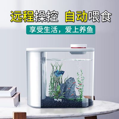 小魚未來魚缸（小魚未來智能魚缸有哪些特點）