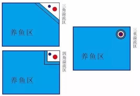 上海淳享水族設(shè)備工程中心（上海淳享水族工程中心） 全國(guó)觀(guān)賞魚(yú)市場(chǎng)