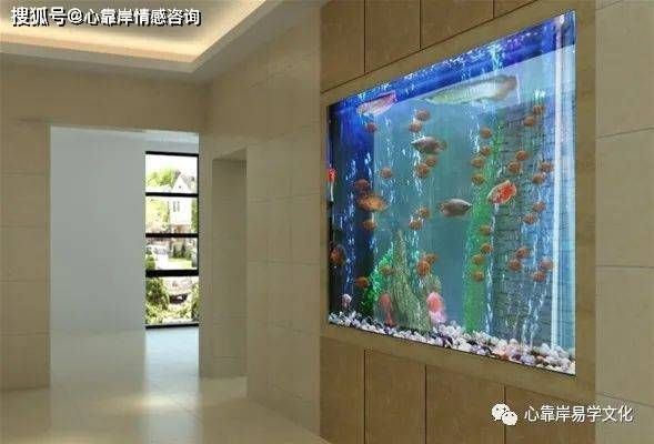 魚缸放正對大門口好不好（如何布置魚缸減少風水影響？魚缸與家居健康的關系） 龍魚百科 第6張