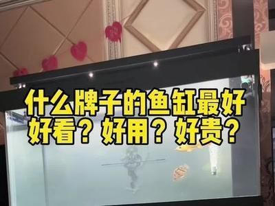 什么品牌的龍魚缸設(shè)計的好（森森魚缸的靜音技術(shù)）