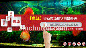 瀘西縣精靈水族館（云南瀘西縣精靈水族館經(jīng)營產(chǎn)品：觀賞魚、魚缸銷售） 全國觀賞魚市場